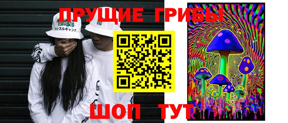 Галлюциногенные грибы GOLDEN TEACHER Екатеринбург